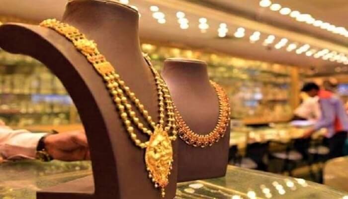PNG Gargi FY26: Growth Outlook, Store Plans, and Online Push