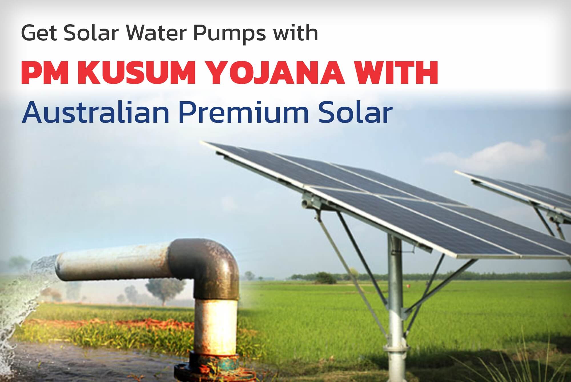 Australian Premium Solar Q1FY26 Earnings Report
